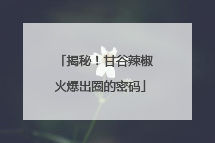 揭秘！甘谷辣椒火爆出圈的密码